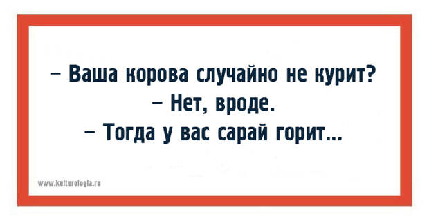 10 одесских хохм для поднятия настроения