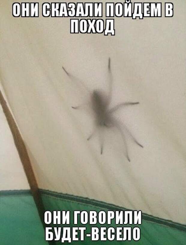 Смехотерапия Писца. Класс!
