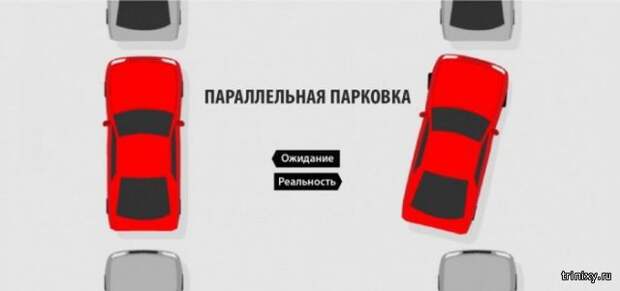 Фотоподборка из серии «ожидание и реальность»