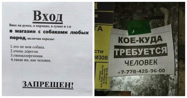 Мастерские объявления, передающие самую суть Мастерские объявления, передающие самую суть
