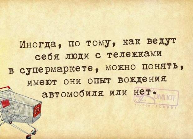 Спор с женщиной - как охота на слона... Спор с женщиной - как охота на слона...