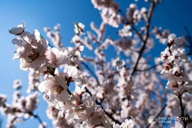 Прогноз погоды в Крыму на среду