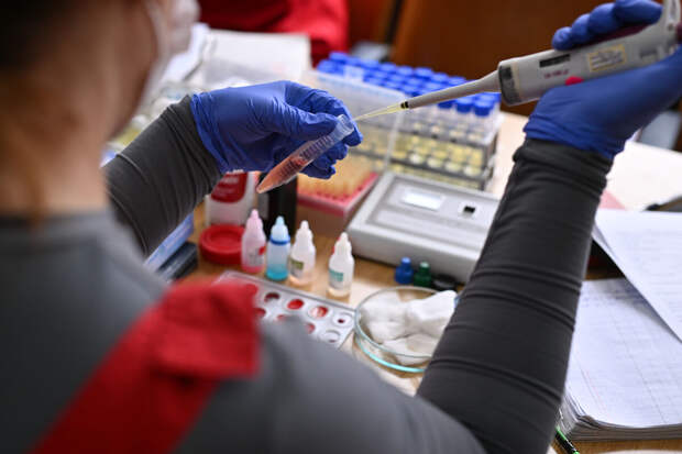 Врач Зиновьева: генетические тесты для будущих родителей будут бесплатными