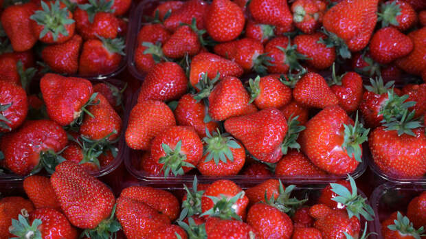 Клубника против рака: как ягоды помогают бороться с онкологией