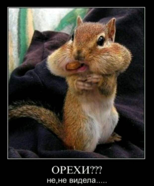 Демотиваторы Демотиваторы