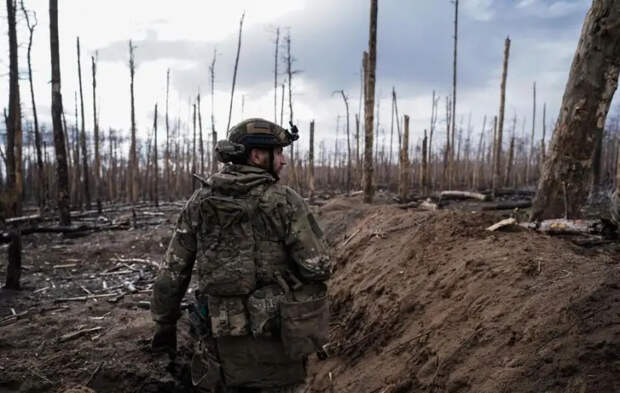 Украинский эксперт заявил, что лишь восемь процентов граждан страны готовы воевать в составе ВСУ