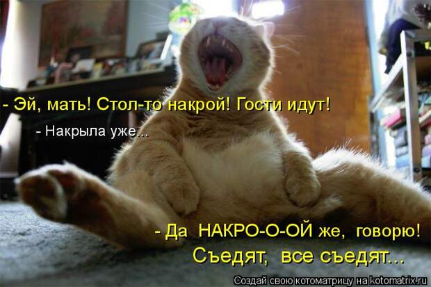 Котоматрица: - Эй, мать! Стол-то накрой! Гости идут! - Накрыла уже... - Да  НАКРО-О-ОЙ же,  говорю! Съедят,  все съедят...