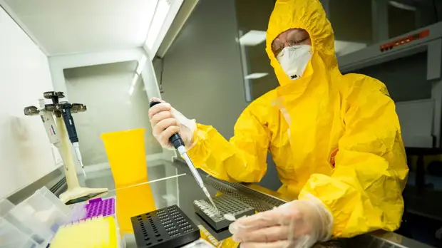 Биолог спрогнозировала распространение британского штамма в России 