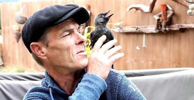 Man and Jackdaw Have an Adorable Bond After a Chance Roadside Encounter