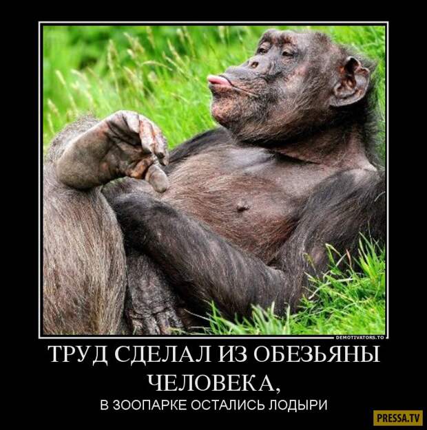 Накануне катастрофы: в каком состоянии находятся пять крупнейших рек Украины