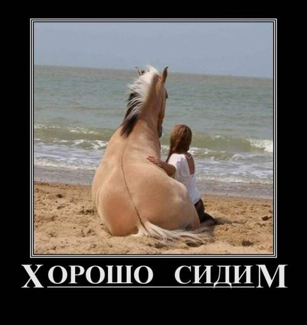 Демотиваторы (27.06.16) Демотиваторы (27.06.16)