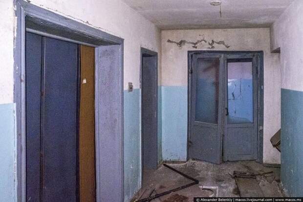 Мёртвый город Припять. Джунгли Чернобыля Мёртвый город Припять. Джунгли Чернобыля