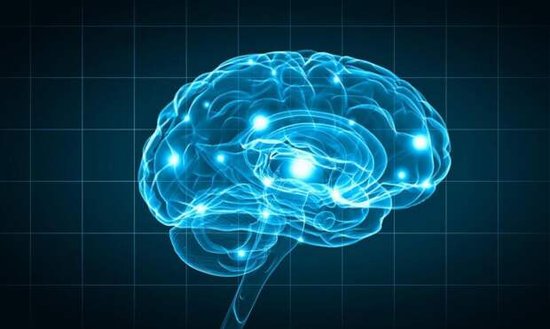 IQ 11-летней девочки превысил показатели Альберта Энштейна и Стивена Хокинга