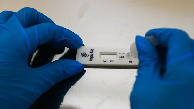 Роспотребнадзор сократил время предоставления гражданам результатов ПЦР-тестов