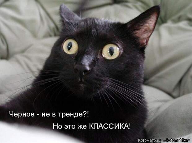 Котоматрица: Черное - не в тренде?! Но это же КЛАССИКА!