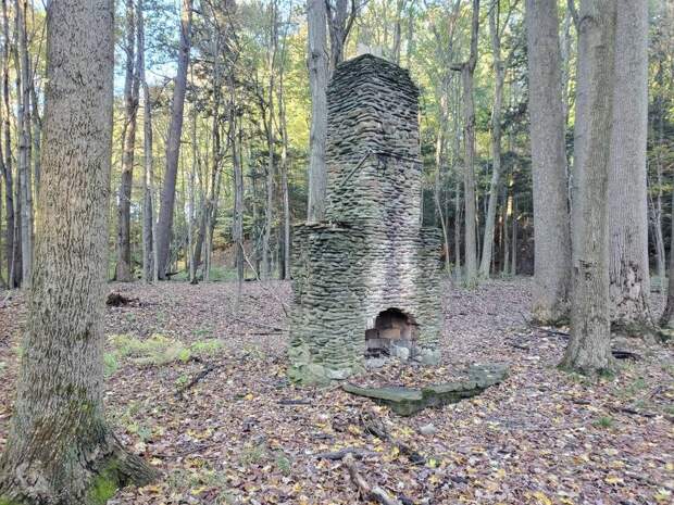14 странных мест и вещей, которые люди нашли прогуливаясь в лесу