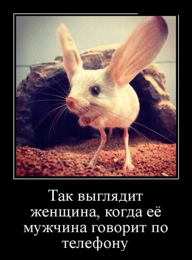ПОДБОРКА ПРИКОЛЬНЫХ ДЕМОТИВАТОРОВ №616