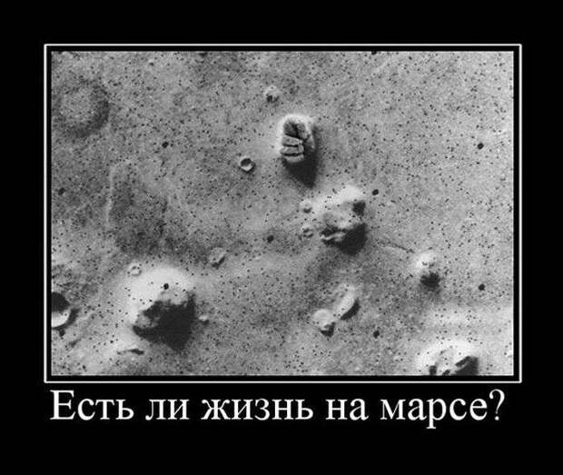 Демотивируемся! Демотивируемся!
