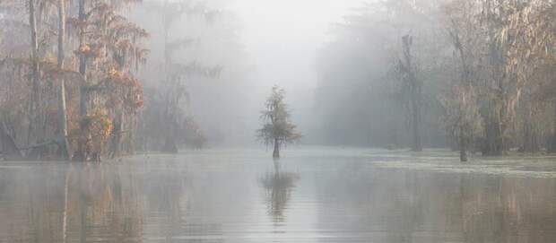 Река Атчафалайа, Луизиана, США, Роберто Марчеджиани (Roberto Marchegiani) в мире, красиво, красивые места, красивый вид, природа, фото, фотоконкурс