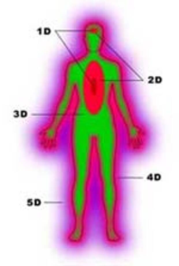 5 измерений физического тела