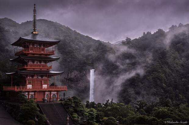 11 нереально красивых фото, сделанных в Японии в сезон дождей