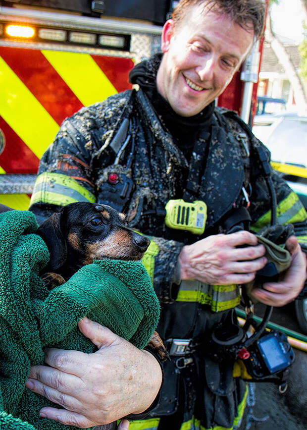 firefighters-rescuing-animals-saving-pets-23-5729e7ae08db4__605