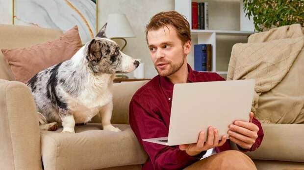 Москвичи могут получить онлайн-консультацию ветеринара для своих питомцев по видеосвязи