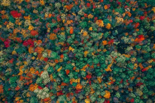 Dronestagram представил лучшие аэрофотографии, сделанные в 2018 году
