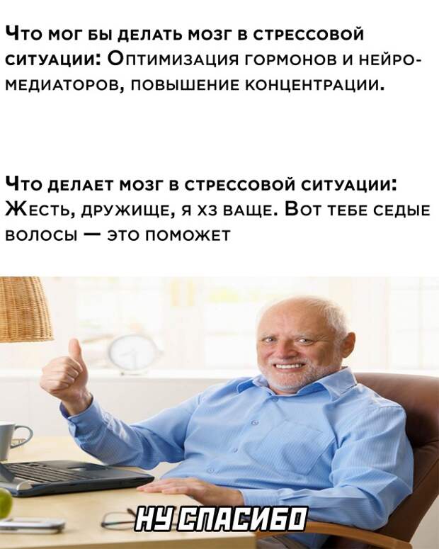Смешные картинки 8 декабря 2021 года