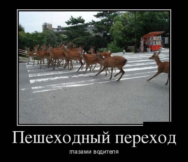 Демотиваторы на пятницу (30 фото)