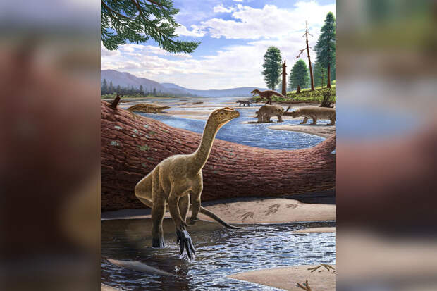 NatComms: климатические условия не влияли на размеры тел динозавров