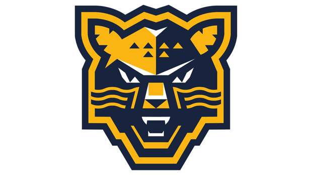 «Сочи» одержал волевую победу над «Нефтехимиком» в матче КХЛ