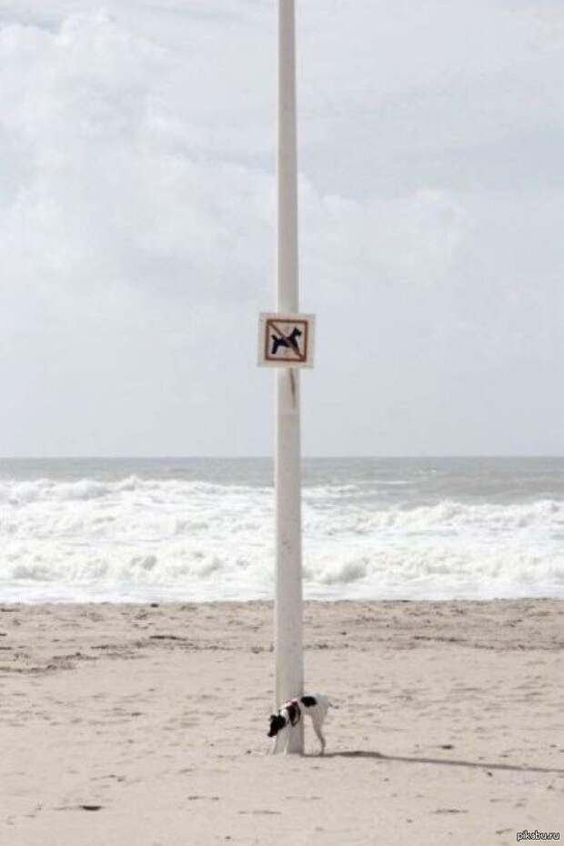 Опасная зона! пляжные фото, прикол
