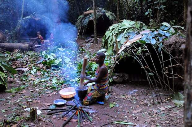 Пигмеи - коренные жители центральной Африки