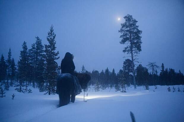 Как живёт отшельница вдали от цивилизации на севере Финляндии