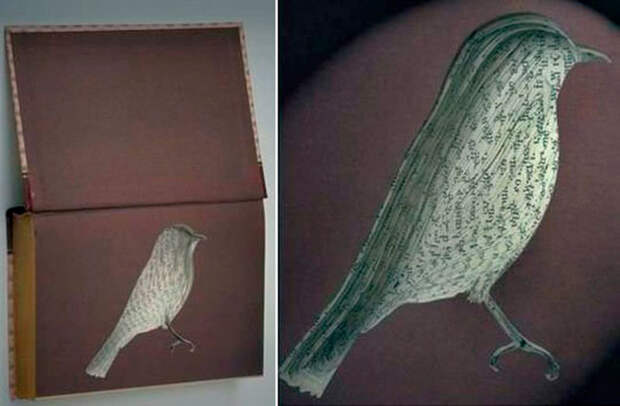 Самые невероятные книги в мире