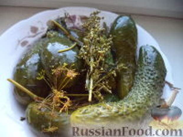 Фото к рецепту: Огурцы малосольные (Рецепт №2) Фото к рецепту: Огурцы малосольные (Рецепт №2)