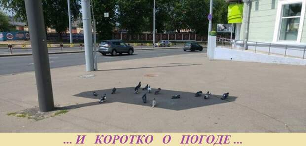 ВИннЕГРЕТ 70 ВИннЕГРЕТ 70