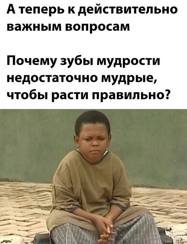 Смешные картинки 15 декабря 2021 года