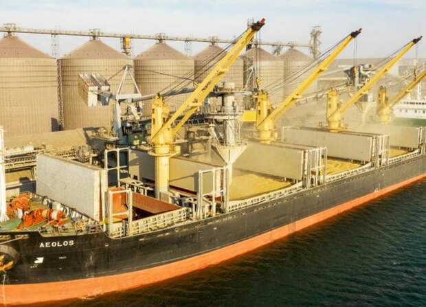 Сладков: побреюсь налысо, если Киев выполнит условия договора по зерну