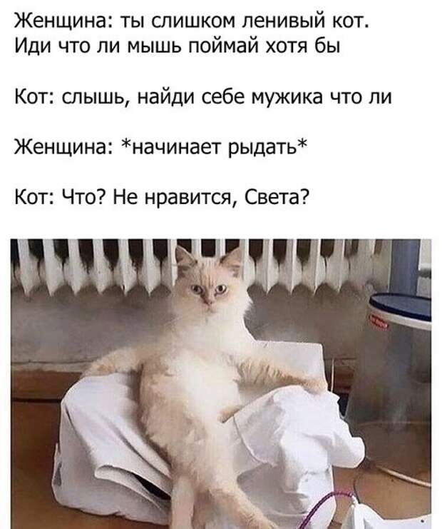 Каждый день