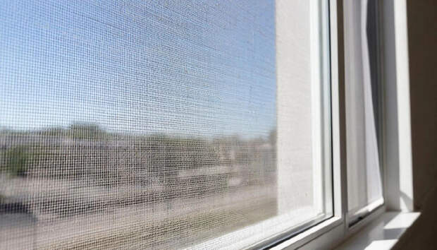 "Безумно. Прискорбно": Депутаты пробивают дно. А Виноградов называет всё своими именами