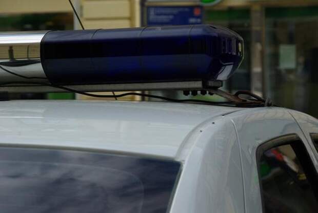 В Колпинском районе задержали мигранта за кражу 600 тысяч у пенсионерки