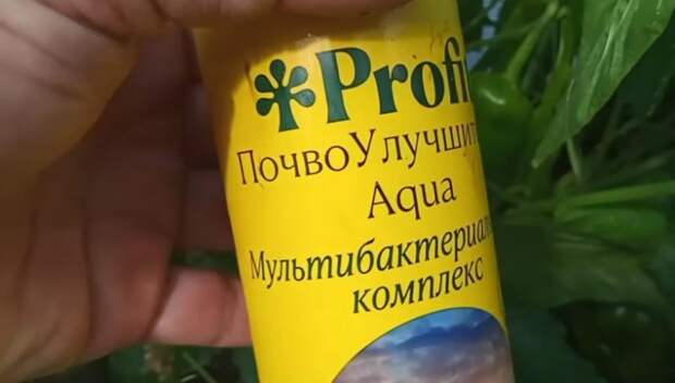 Способ омолаживания огурцов для большого урожая