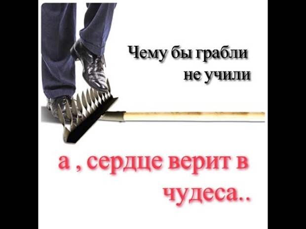 Чему бы грабли не учили а сердце верит в чудеса. Чему бы грабли не учили а сердце верит в чудеса картинки. Статус в картинках чему бы грабли не учили,а сердце верит в чудеса. Вишнякова сердце верит. Чему бы грабли не учили а сердце верит в чудеса. Чему бы грабли не учили а сердце верит в чудеса картинки. Статус в картинках чему бы грабли не учили,а сердце верит в чудеса.
