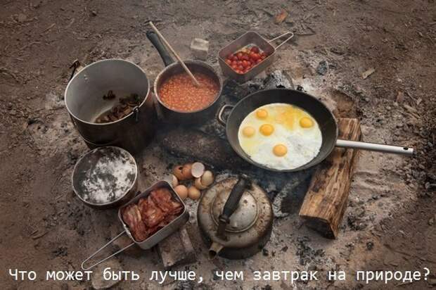 Прикольные картинки. Вечерний выпуск (60 фото) Прикольные картинки. Вечерний выпуск (60 фото)
