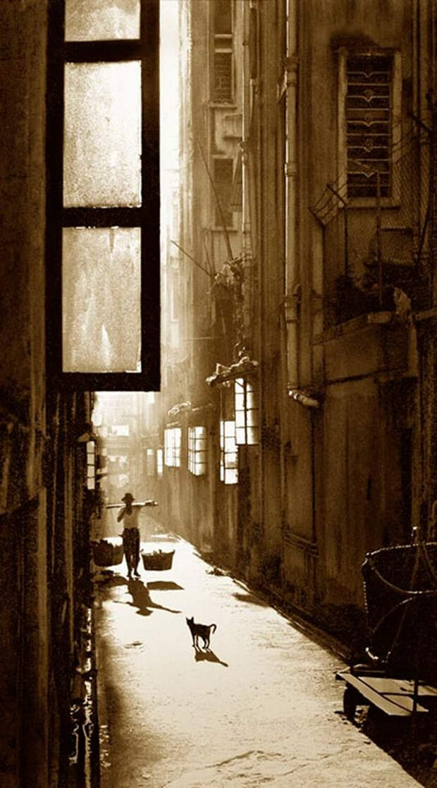fan ho 33