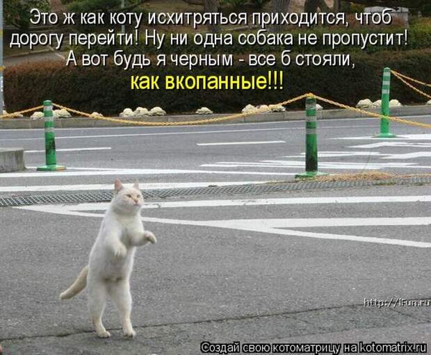 Мысли вслух :)