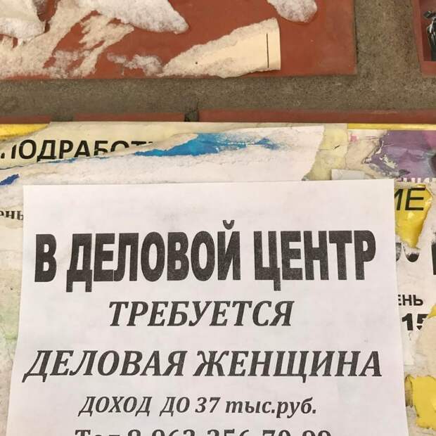 Мастерские объявления, передающие самую суть Мастерские объявления, передающие самую суть