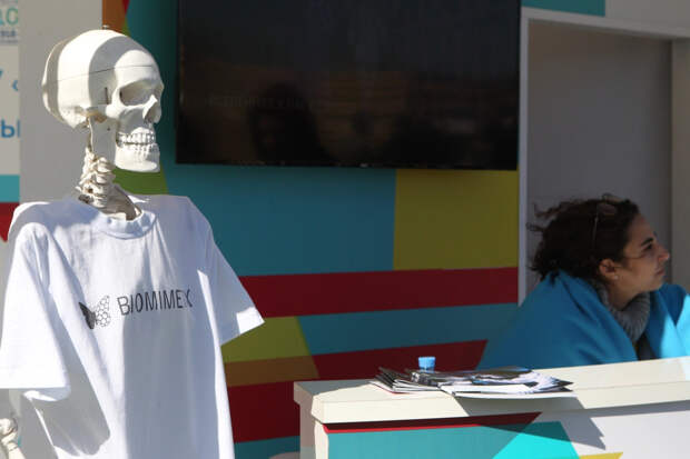 Академик РАН рассказал, в каком возрасте начинает стареть мозг